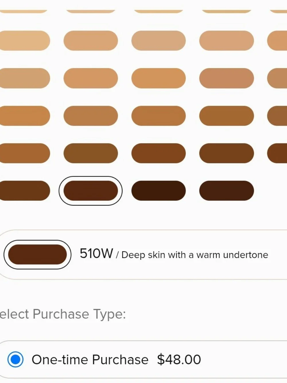 New! Anastasia Luminous Foundation — 510W / Deep skin with a warm undertone